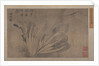 Cabbage and Insects by Xu Daoguang