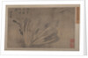 Cabbage and Insects by Xu Daoguang