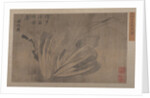 Cabbage and Insects by Xu Daoguang