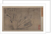 Cabbage and Insects by Xu Daoguang