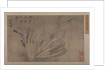 Cabbage and Insects by Xu Daoguang