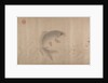 The Pleasures of Fishes, dated 1291 by Zhou Dongqing
