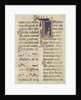 Manuscript Leaf with King David in an Initial I, from a Psalter, early 15th century by Unknown