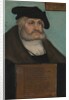 Friedrich III, the Wise, Elector of Saxony, 1533 by Lucas Cranach the Elder