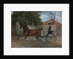Portrait of a Gentleman in a Carriage, ca. 1850-60 by Unknown