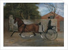 Portrait of a Gentleman in a Carriage, ca. 1850-60 by Unknown