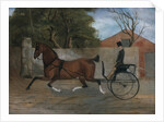 Portrait of a Gentleman in a Carriage, ca. 1850-60 by Unknown