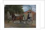 Portrait of a Gentleman in a Carriage, ca. 1850-60 by Unknown
