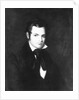 Portrait of a Man, 1800-1850 by Unknown