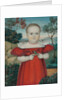 Portrait of a Boy, 1840s by Unknown