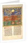 Leaf from a Beatus Manuscript: at the Clarion of the Fifth Angel's Trumpet…, ca. 1180 by Unknown