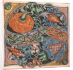 Manuscript Illumination with Initial S, from a Choir Book, 16th century by Unknown