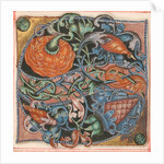 Manuscript Illumination with Initial S, from a Choir Book, 16th century by Unknown