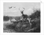 On the Qui Vive, Buck and Three Does, 1871 by Arthur Fitzwilliam Tait