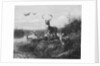 On the Qui Vive, Buck and Three Does, 1871 by Arthur Fitzwilliam Tait