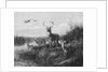On the Qui Vive, Buck and Three Does, 1871 by Arthur Fitzwilliam Tait