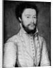 Portrait of a Bearded Man in White by Corneille de Lyon