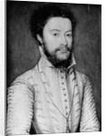 Portrait of a Bearded Man in White by Corneille de Lyon