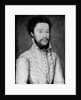 Portrait of a Bearded Man in White by Corneille de Lyon