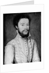 Portrait of a Bearded Man in White by Corneille de Lyon