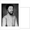 Portrait of a Bearded Man in White by Corneille de Lyon