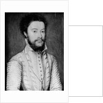 Portrait of a Bearded Man in White by Corneille de Lyon