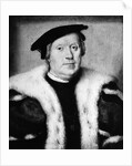 Jean d'Albon de Saint-André by Corneille de Lyon