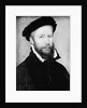 Portrait of a Man by Corneille de Lyon