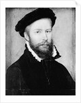 Portrait of a Man by Corneille de Lyon