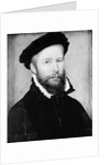 Portrait of a Man by Corneille de Lyon
