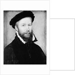 Portrait of a Man by Corneille de Lyon