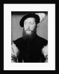 Charles de Cossé, Comte de Brissac by Corneille de Lyon