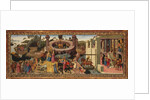 Scenes from the Story of the Argonauts by Biagio d'Antonio