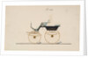 Design for 4 seat Phaeton, no top, no. 1016, 1850-70 by Brewster & Co