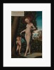 Venus with Cupid the Honey Thief, ca. 1580-1620 by Lucas Cranach the Elder (copy after)