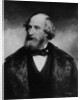Cyrus W. Field, 1879 by Daniel Huntington