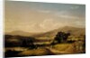 Near Squam Lake, New Hampshire, 1856 by David Johnson