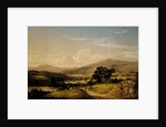 Near Squam Lake, New Hampshire, 1856 by David Johnson