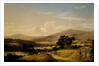 Near Squam Lake, New Hampshire, 1856 by David Johnson