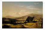 Near Squam Lake, New Hampshire, 1856 by David Johnson