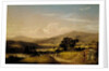 Near Squam Lake, New Hampshire, 1856 by David Johnson