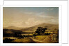 Near Squam Lake, New Hampshire, 1856 by David Johnson