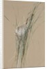 Bird's Nest in Cattails, ca. 1875 by Fidelia Bridges