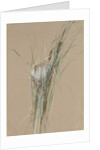 Bird's Nest in Cattails, ca. 1875 by Fidelia Bridges