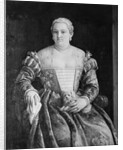 Portrait of a Woman by Francesco Montemezzano