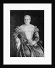 Portrait of a Woman by Francesco Montemezzano
