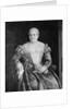 Portrait of a Woman by Francesco Montemezzano