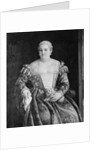 Portrait of a Woman by Francesco Montemezzano