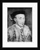 Portrait of a Man in a White Fur Coat by Unknown