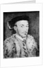 Portrait of a Man in a White Fur Coat by Unknown